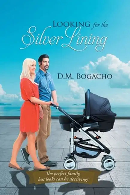Looking for the Silver Lining by D M Bogacho