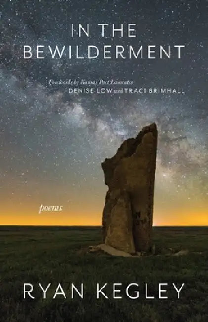 In the Bewilderment by Ryan Kegley