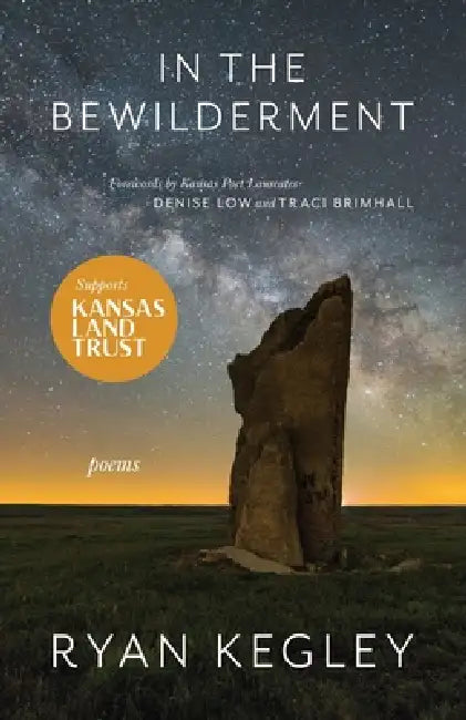 In the Bewilderment by Ryan Kegley