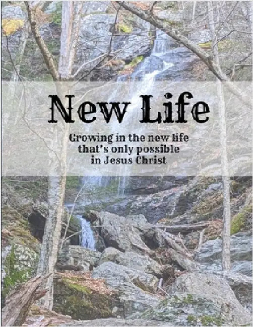 New Life by Williams, Joel