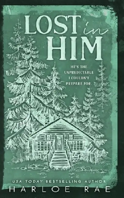 Lost in Him: A Grumpy Recluse Standalone Romance by Harloe Rae