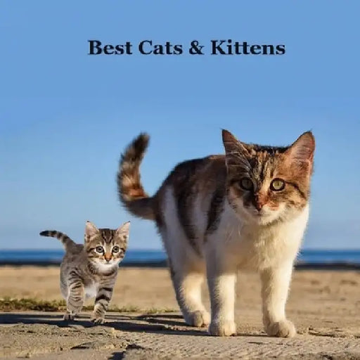 Best Cats and Kittens for Kids Book: Great Way for Children to Meet the Best Pet Cat and Kitten Breeds by Kinsey Marie