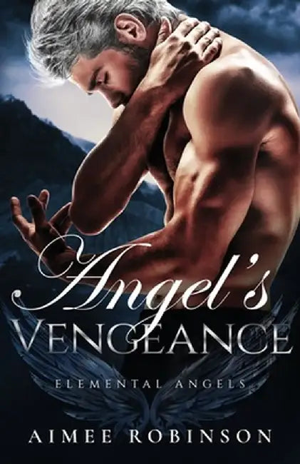 Angel's Vengeance: A Paranormal Angel Romance by Aimee Robinson
