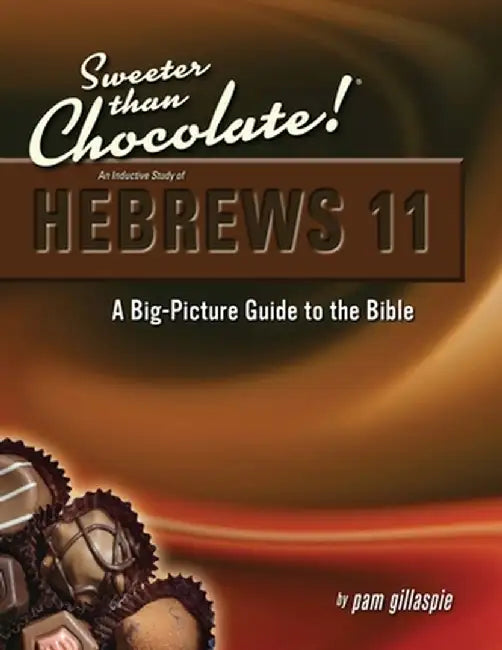 Hebrews 11: A Big Picture Guide to the Bible by Pam Gillaspie