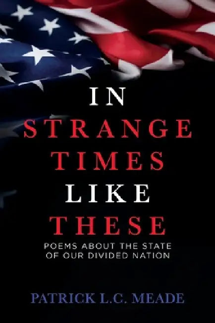 In Strange Times Like These: Poems About the State of Our Divided Nation by Patrick L. C. Meade