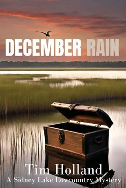 December Rain by Tim Holland