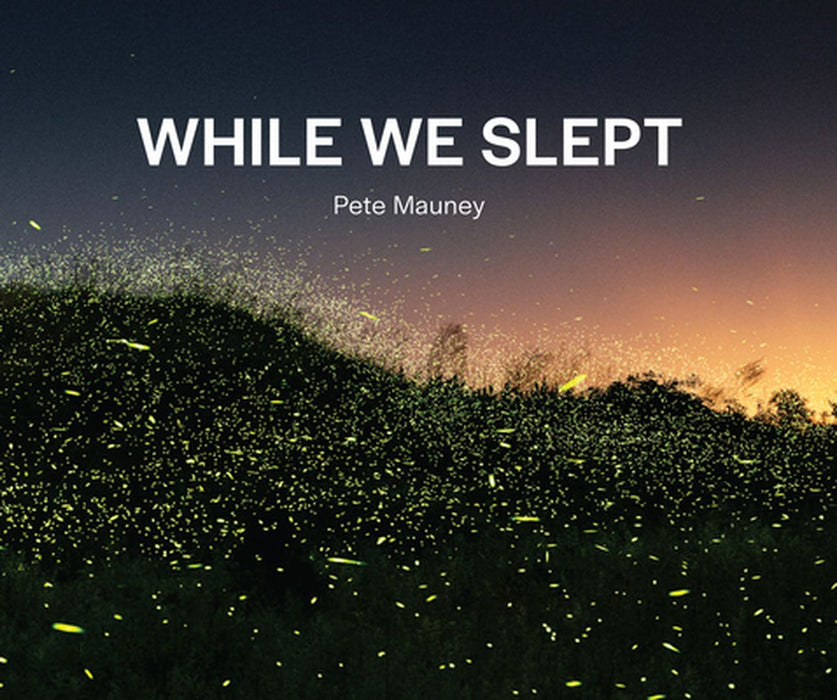 While We Slept by Pete Mauney
