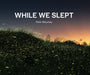 While We Slept by Pete Mauney