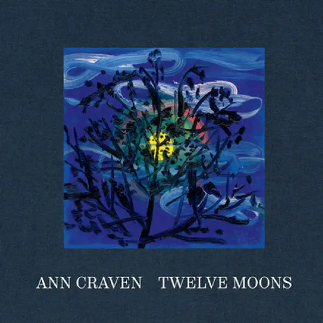 Ann Craven: Twelve Moons by Ann Craven