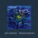 Ann Craven: Twelve Moons by Ann Craven