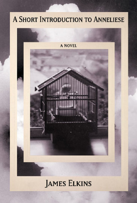 A Short Introduction to Anneliese by James Elkins