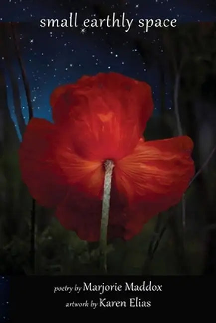 Small Earthly Space by Marjorie Maddox