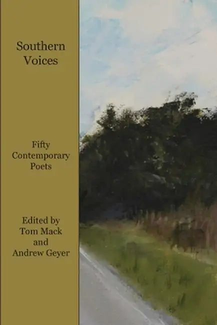 Southern Voices by Andrew Geyer