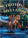 Trotón y los Mellizos: La Magia de la Imaginación by Pérez-Zafón, Tomás