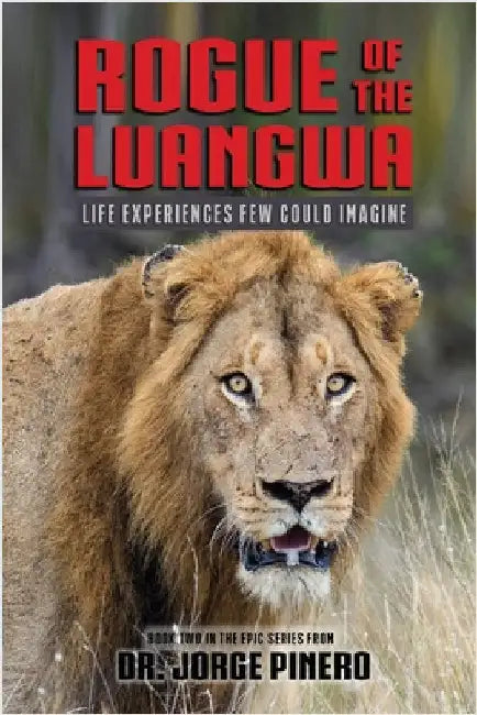 Rogue of the Lua: Llife Experienced Few Could Imagine by Pinero, Jorge