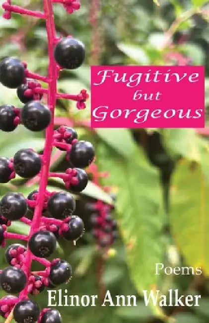 Fugitive but Gorgeous by Elinor Ann Walker, Hayley Haugen