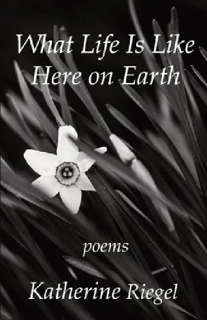 What Life Is Like Here on Earth by Katherine Riegel, Hayley Haugen