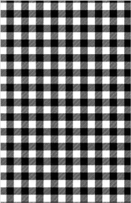 Publish Her Journal: Gingham by Olsen, Chris