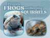 Frozen Frogs and Sleeping Squirrels: Animals in Winter by Mattern, Joanne
