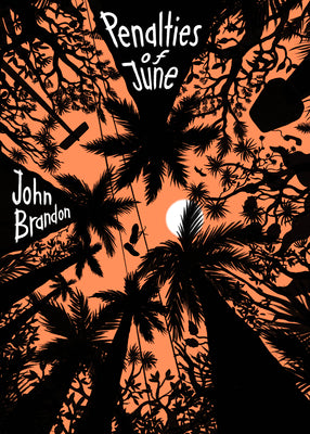 Solstice by John Brandon