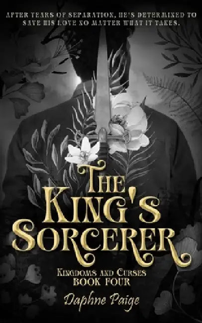 The King's Sorcerer by Daphne Paige