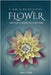 I Am a Beautiful Flower: What Every Flowering Girl Should Know by Marlo E. Ettien