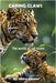 Caring Claws: The World of Cat Moms by Ratnam