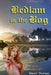 Bedlam in the Bog: A Magical Quest by Daniel Thorman