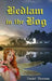 Bedlam in the Bog: A Magical Quest by Daniel Thorman