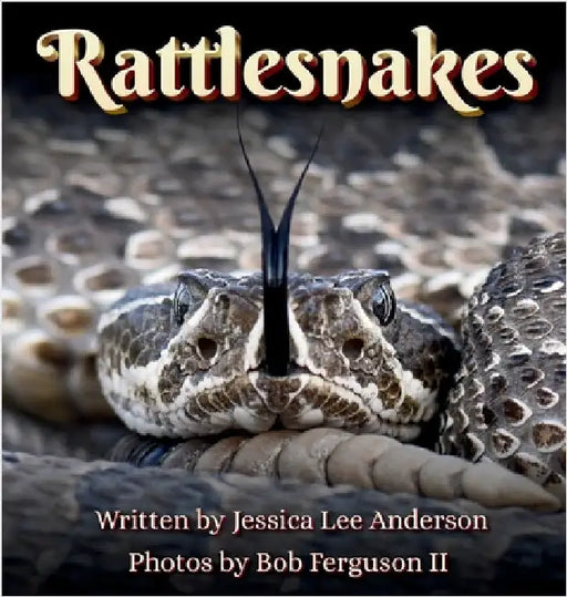 Rattlesnakes by Anderson, Jessica Lee