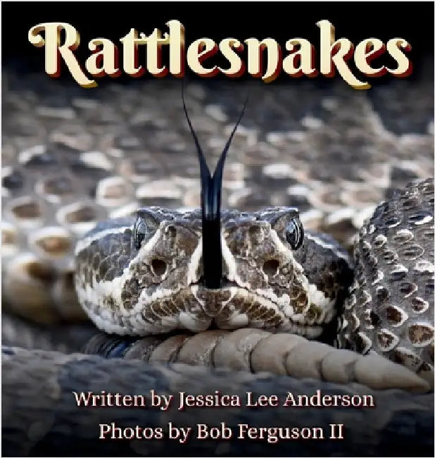 Rattlesnakes by Anderson, Jessica Lee