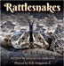 Rattlesnakes by Anderson, Jessica Lee