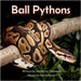 Ball Pythons by Anderson, Jessica Lee