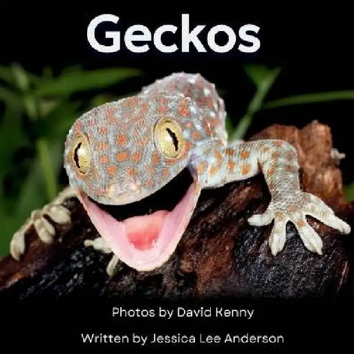 Geckos: Get to Know More About These Vocal Lizards! by Jessica Lee Anderson, David Kenny
