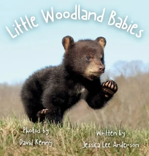 Little Woodland Babies by Jessica Lee Anderson, David Kenny