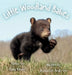 Little Woodland Babies by Jessica Lee Anderson, David Kenny