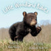 Little Woodland Babies by Jessica Lee Anderson, David Kenny