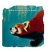 Yuka wonders where do fish go after sunset? by Ono, Shungi