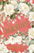 Mirrors: A Fairytale Romance (Heartbooks 3) by Brittany Eden