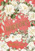 Mirrors: A Fairytale Romance (Heartbooks 3) by Brittany Eden