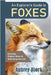 An Explorer's Guide to Foxes by Bjork, Aubrey