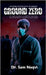 Ground Zero by Naqvi, Sam