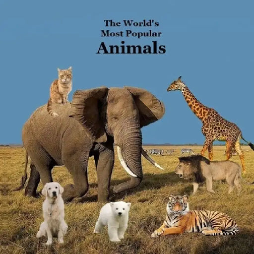 The World's Most Popular Animals Children's Book: Great Book for Kids About the Animals of the World by Kinsey Marie