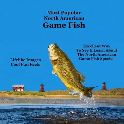Most Popular North American Game Fish Species Kids Book: Great Book for Children of All Ages About the North American Game Fish Species by Kinsey Marie