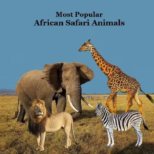 Most Popular African Safari Animals Kids Book: Great Book for Children about Safari Animals in Africa by Kinsey Marie
