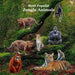 Most Popular Jungle Animals Kids Book: Great Children's Book About Animals of the Jungle by Kinsey Marie