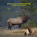 Bryce Canyon National Park Animals Attractions Kids Book: Great Children's Book about Bryce Canyon National Park Animals and Attractions by Kinsey Marie