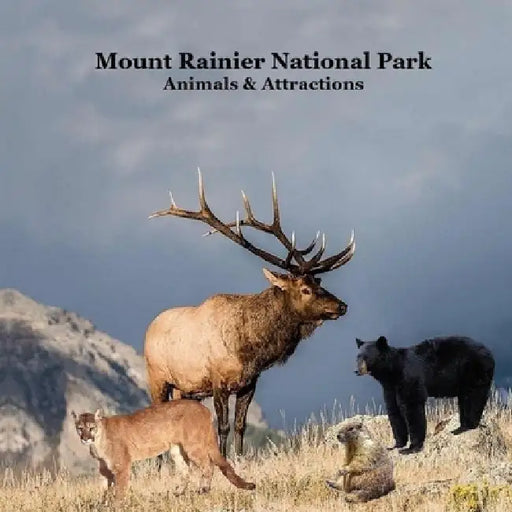 Mount Rainier National Park Animals Attractions Kids Book: Great Children's Book about Mt. Rainier National Park Animals and Attractions by Kinsey Marie