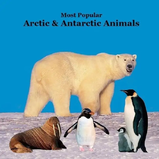 Most Popular Arctic and Antarctic Animals Kids Book: Great Arctic Animals Children's Book with Lifelike Pictures and Fun Facts by Kinsey Marie