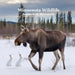 Minnesota Animals and Mammals Wildlife Book: Great Minnesota Animals book with Lifelike Images and Fun Facts by Kinsey Marie